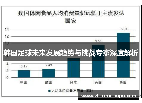 韩国足球未来发展趋势与挑战专家深度解析