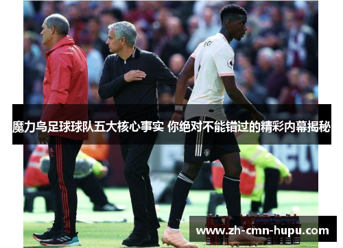 魔力鸟足球球队五大核心事实 你绝对不能错过的精彩内幕揭秘